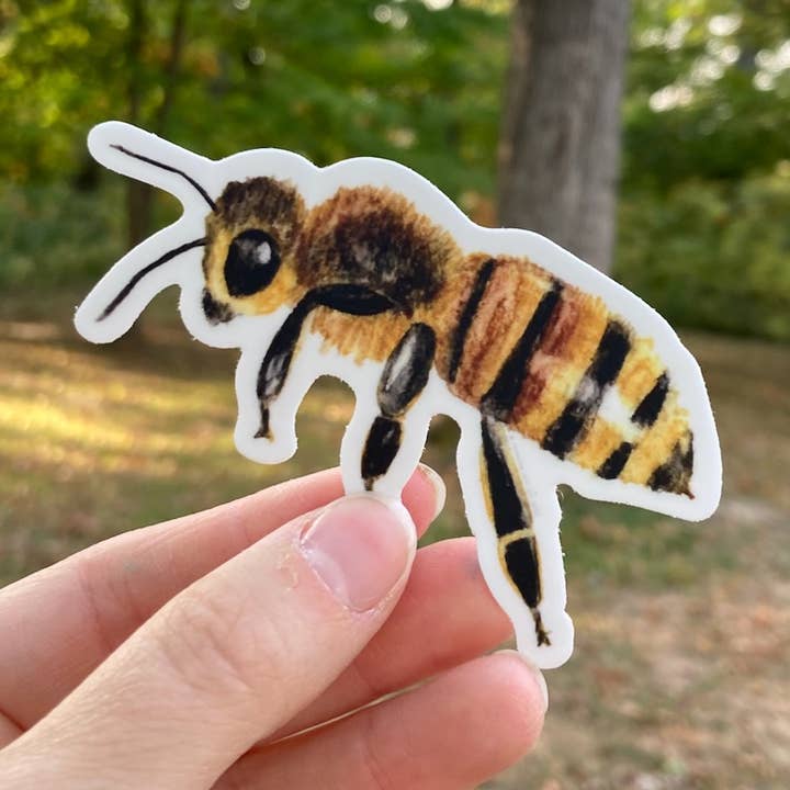 Honeybee Vinyl Sticker - Nature Artist for wholesale by Inventus Art