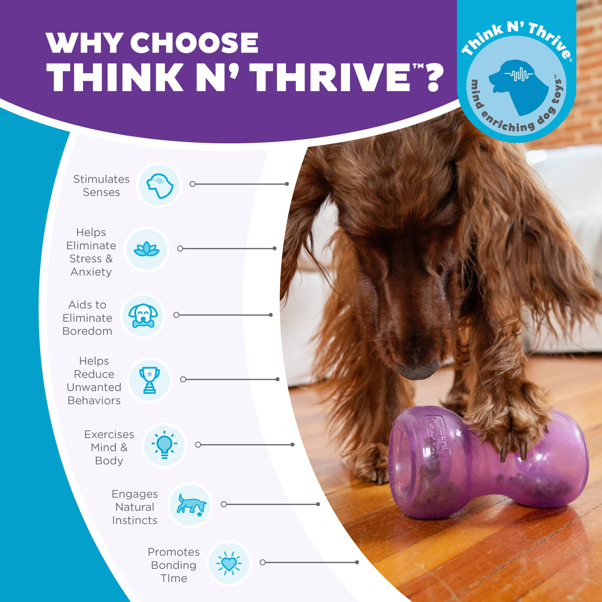 Pet Palette Distribution - Wholesale Pet Chew Toy - Dog - Planet Dog Orbee-Tuff Double Snoop Interactive Dog Toy5