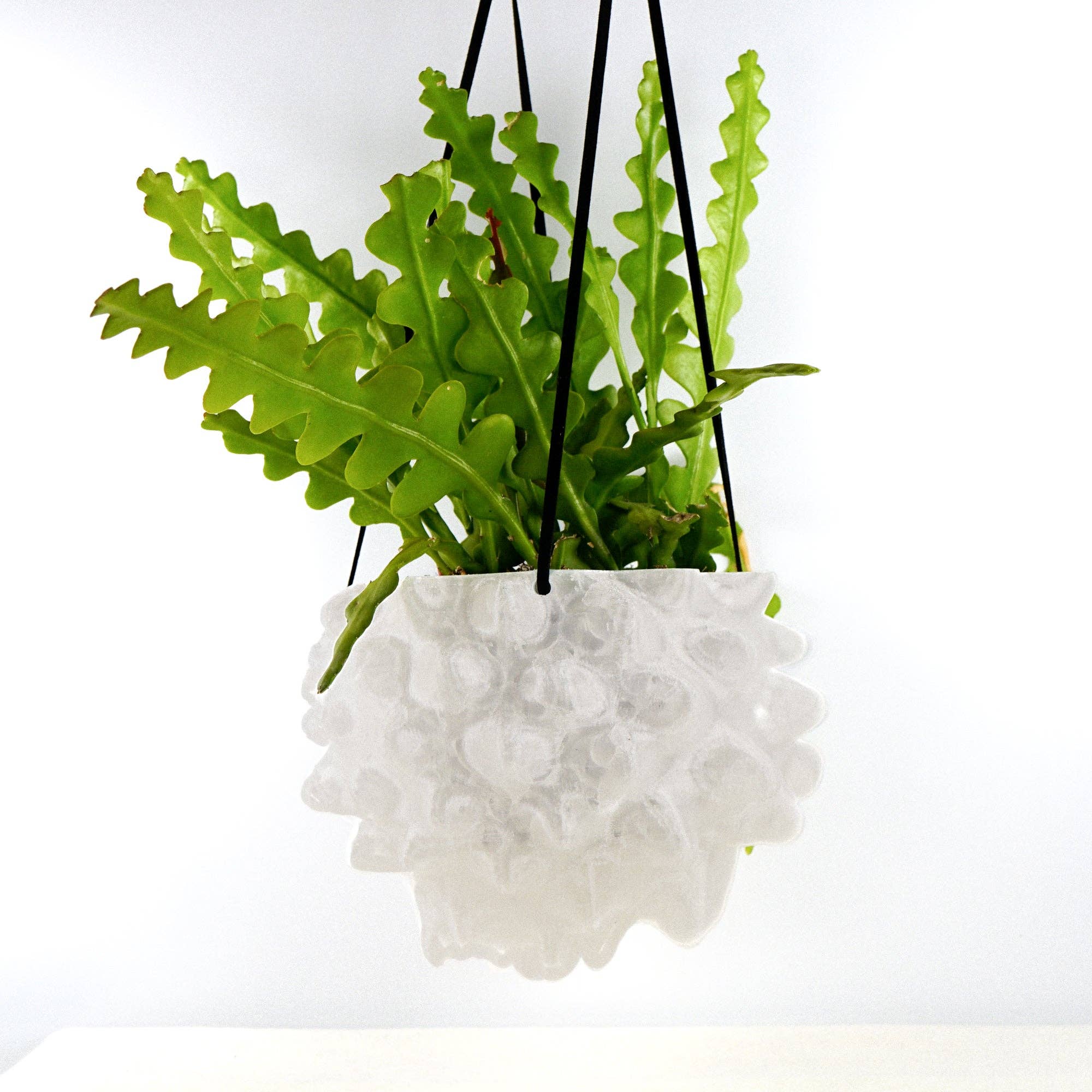Rosebud Homegoods - Wholesale Hanging Planter - Hanging Planter, Indoor 5 or 8 inch Pots, Maximalist Decor4