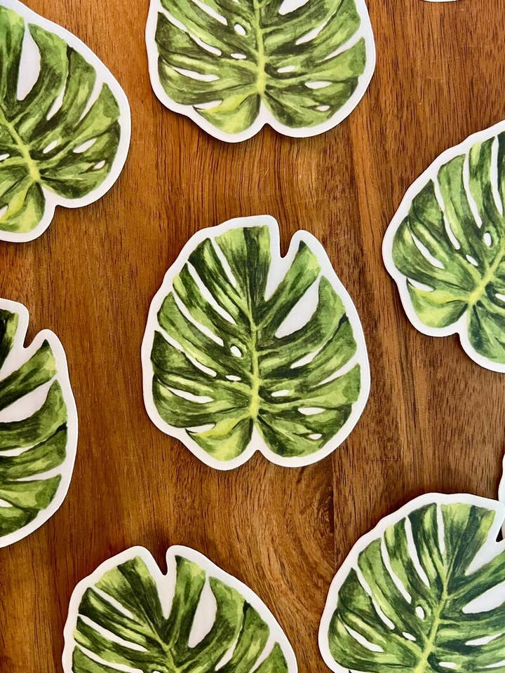 Clear Monstera Leaf Sticker | Waterproof Vinyl Sticker for wholesale by Patience Creative
