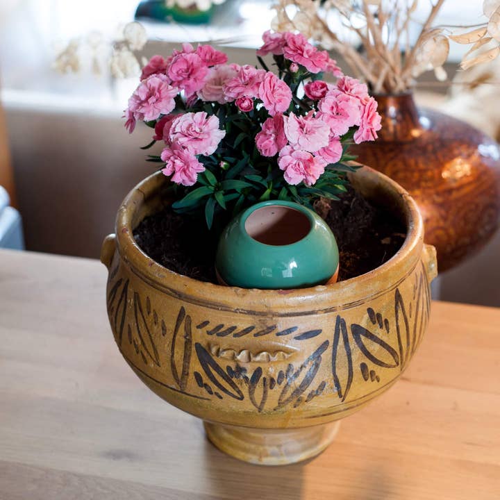 2 Oyas till växtstorlek M Grön för wholesale av Alppos