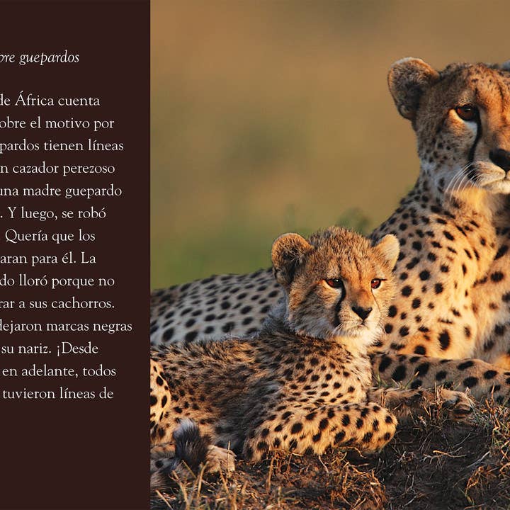 The Creative Company - Wholesale Nature & Outdoors - Planeta animal: El guepardo