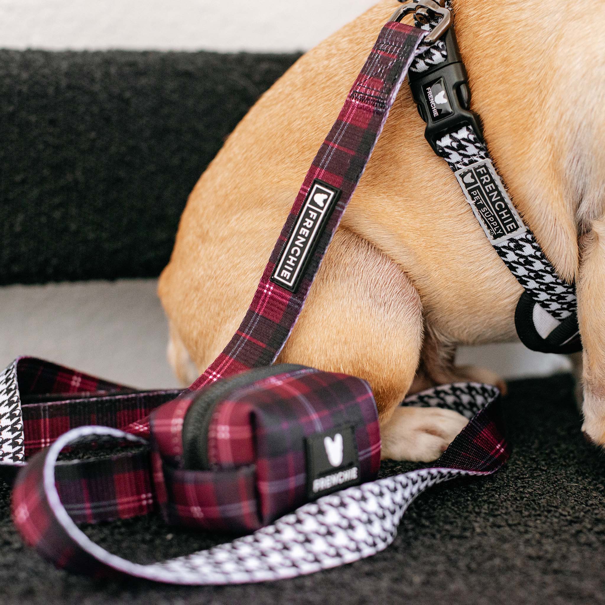 Frenchie - Wholesale Pet Leash - Dog - Frenchie Comfort Leash - Classic Plaid5