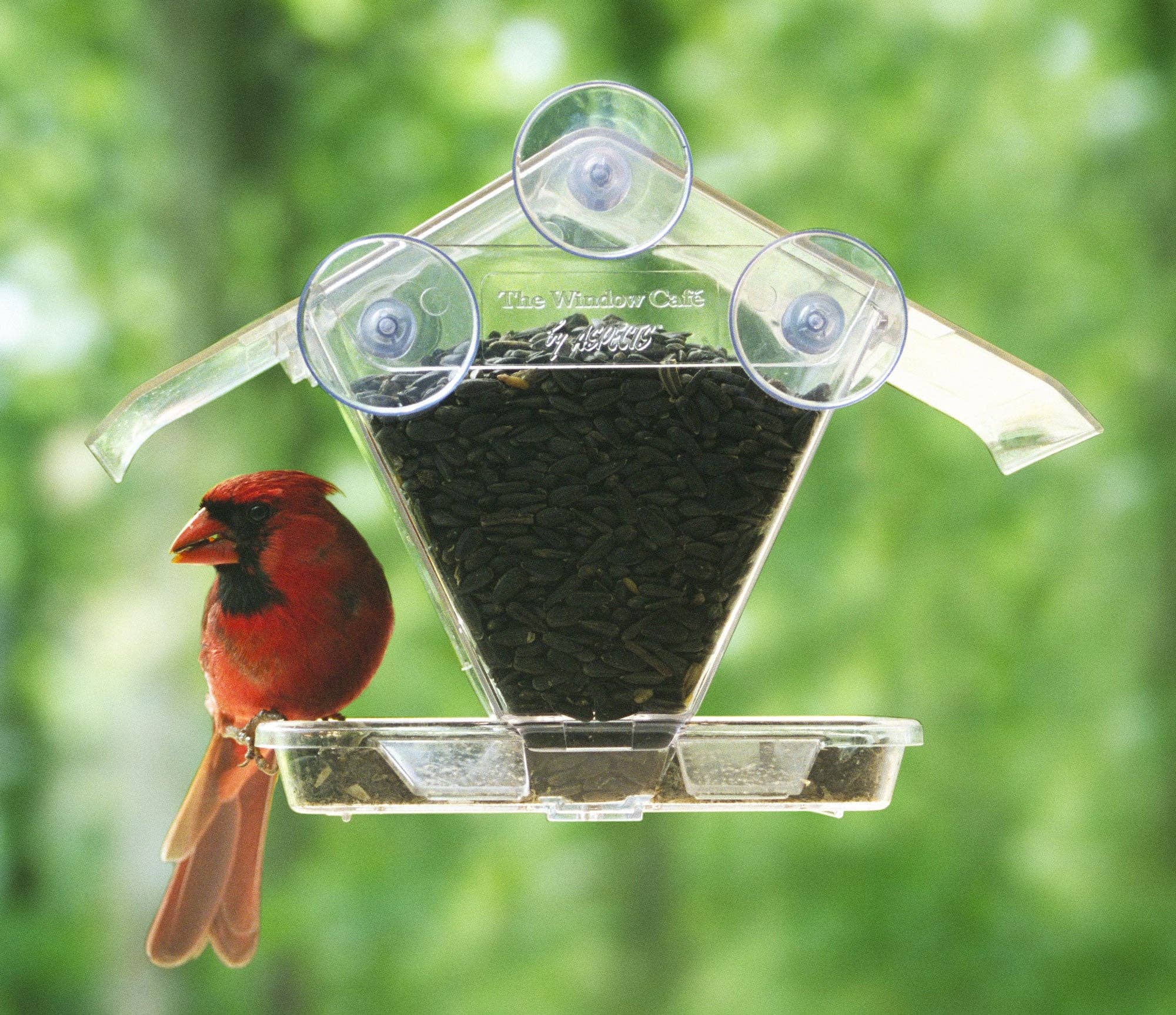Birds Choice - Wholesale Bird Feeder - Aspects - The Window Cafe Bird Feeder1