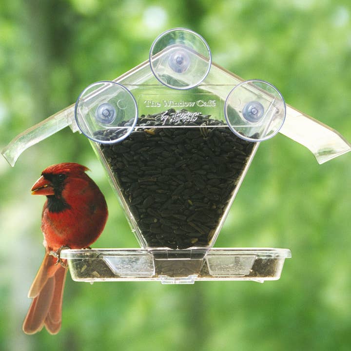 Birds Choice - Wholesale Bird Feeder - Aspects - The Window Cafe Bird Feeder1