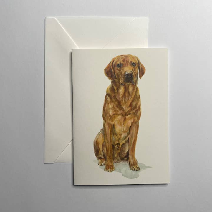 Biglietto di auguri - Labrador rosso volpe per la vendita all'ingrosso da parte di Susel & Co