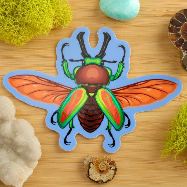 Rainbow Stag Beetle Sticker for wholesale by Fossil Forager