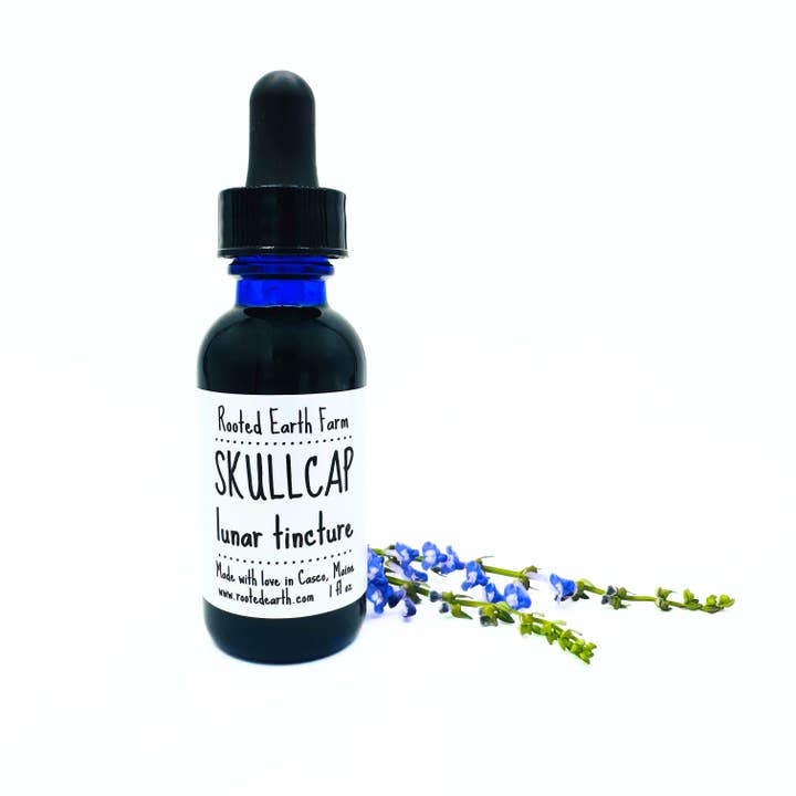 Rooted Earth Farm + Apothecary - Wholesale Tincture - Skullcap Tincture - 2 Size Options