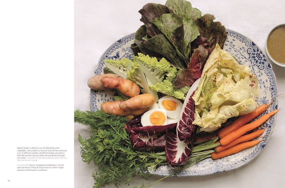 W. W. Norton - Wholesale Home & Garden - Soil to Table: Recipes for Healthy Soil and Food9