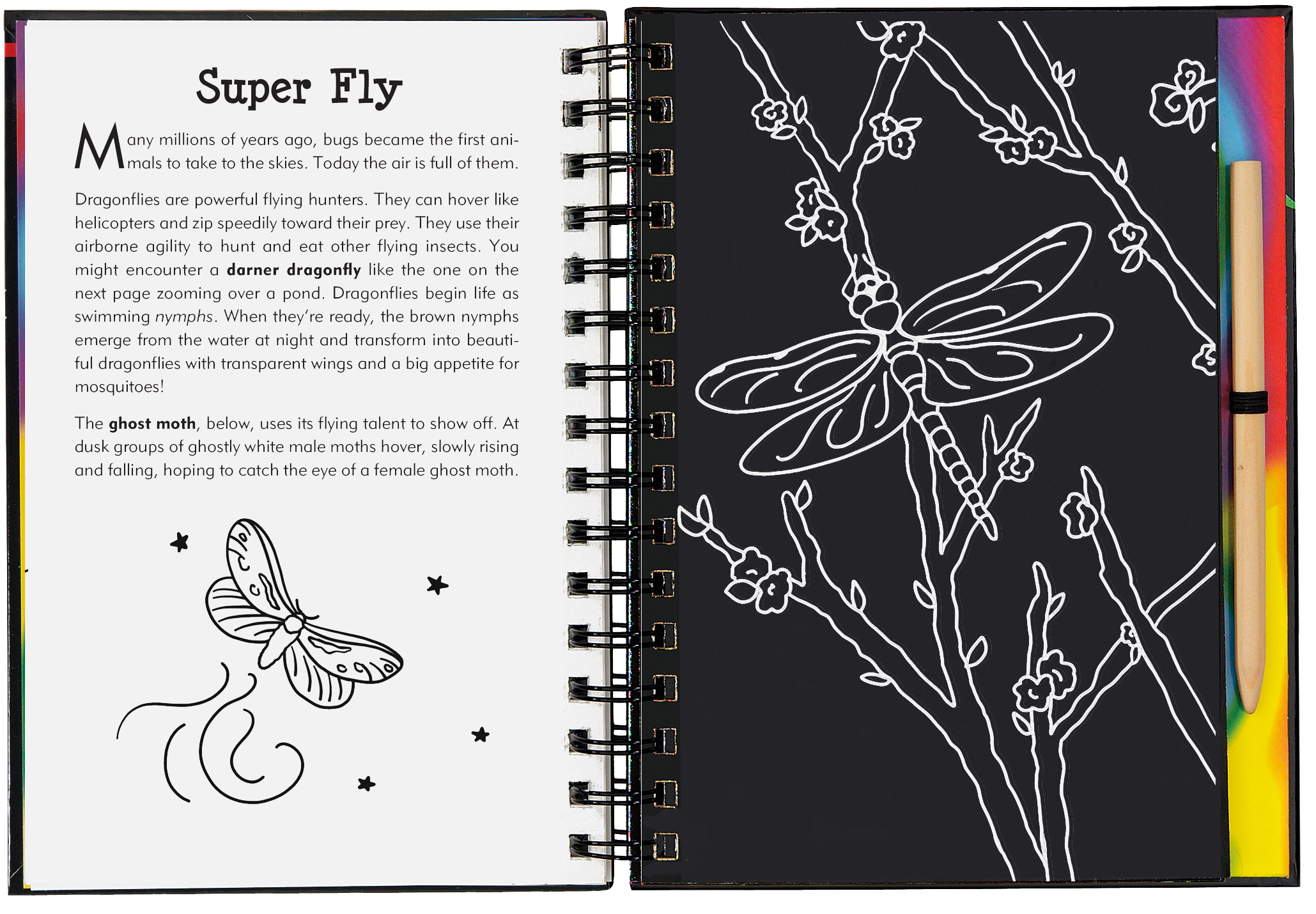 Peter Pauper Press - Vente Carnets de croquis - Bugs ! Gratte et Dessine3