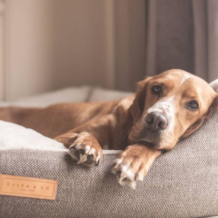 Ralph & Co – wholesale Pet bed – Dog – Luxury Tweed Dog Bed With Removable Covers | Lincoln9