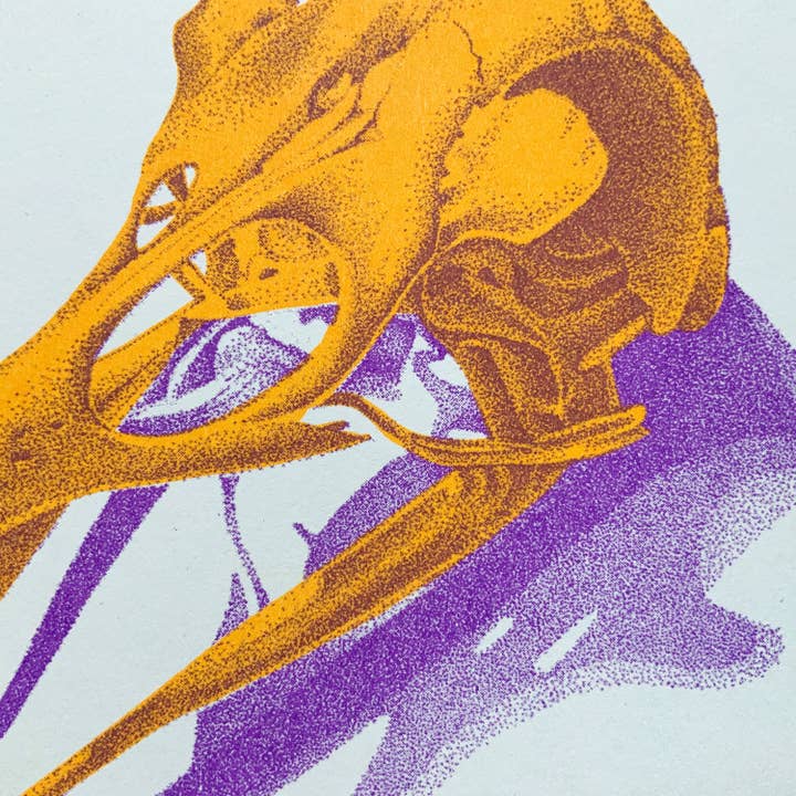 Psychedelic Lens - Wholesale Art Print - Bird Skull Riso Print