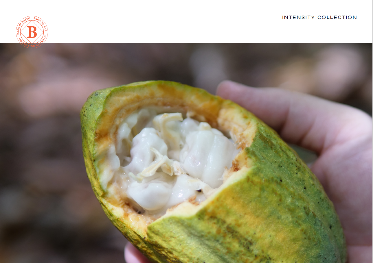 Vinte Vinte Chocolate - Vendita all'ingrosso Cioccolato - GRAND CRU CIOCCOLATO FONDENTE 70% MESSICO SOCONUSCO FINCA LA RIOJA4