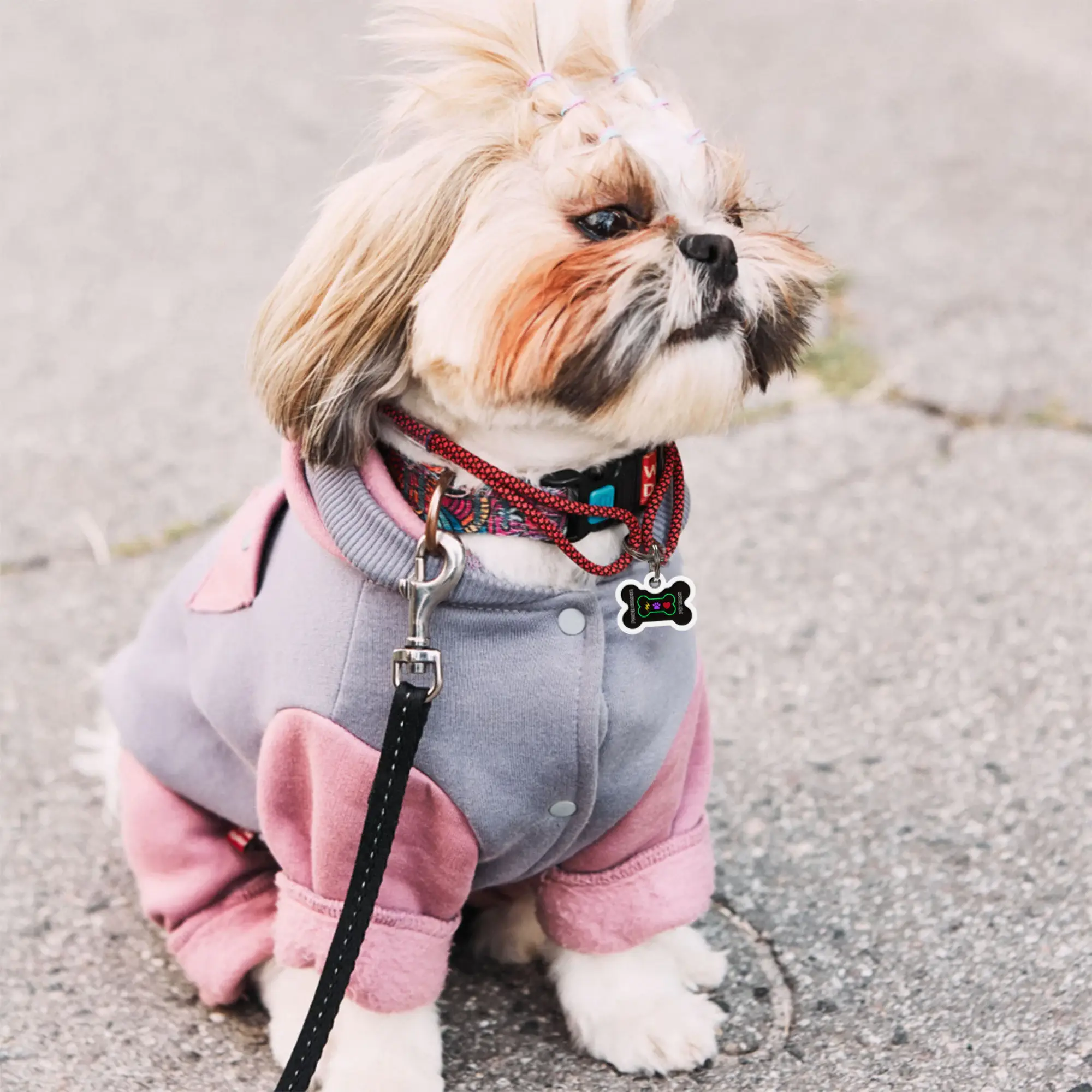 Animal ID - Vente Médaille pour collier – chat et chien - Médaille d'identification pour chien en acier inoxydable avec silicone et code QR personnalisable5