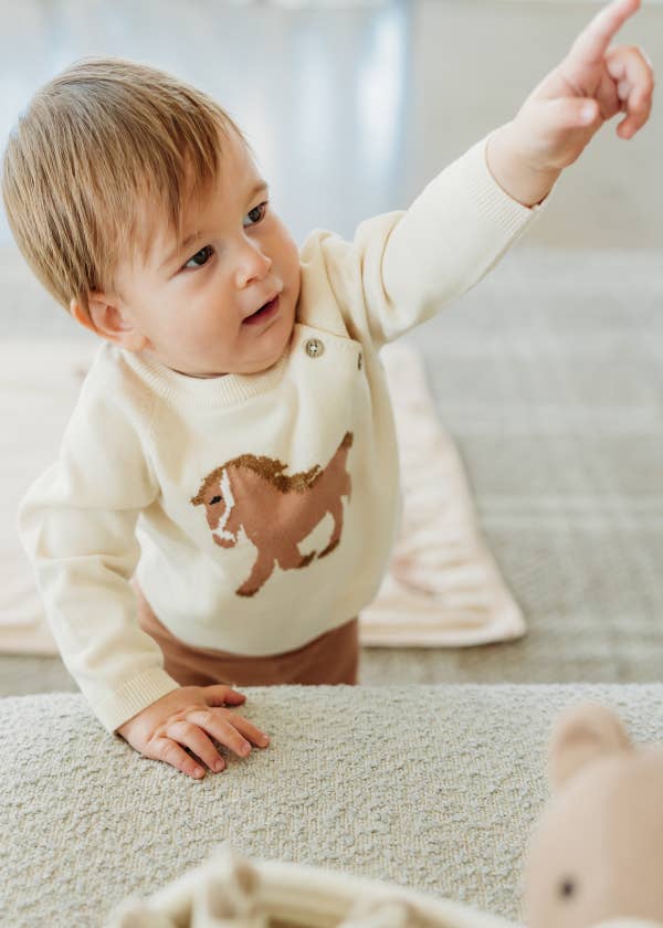 Natural Horse Jacquard Sweater Knit Baby Pullover (Organic Cotton) for wholesale on Faire5