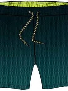 BLUE GRADIENT MICRO PATTERN PRINT SWIM SHORTS for wholesale by HAPPY AND SO