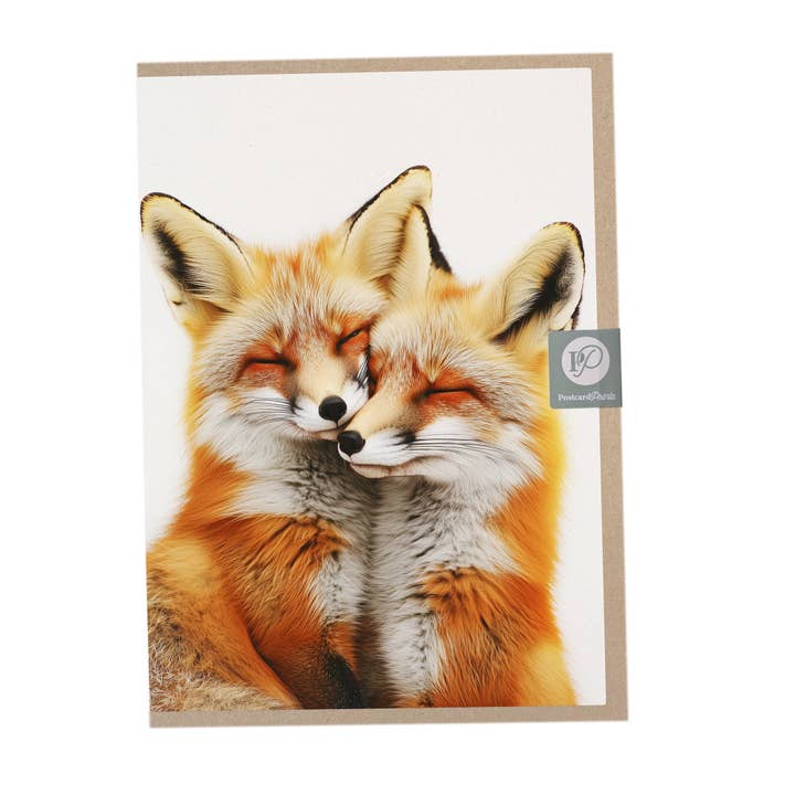 Foxes Cuddling Anniversary Card for wholesale by Postcard Prints