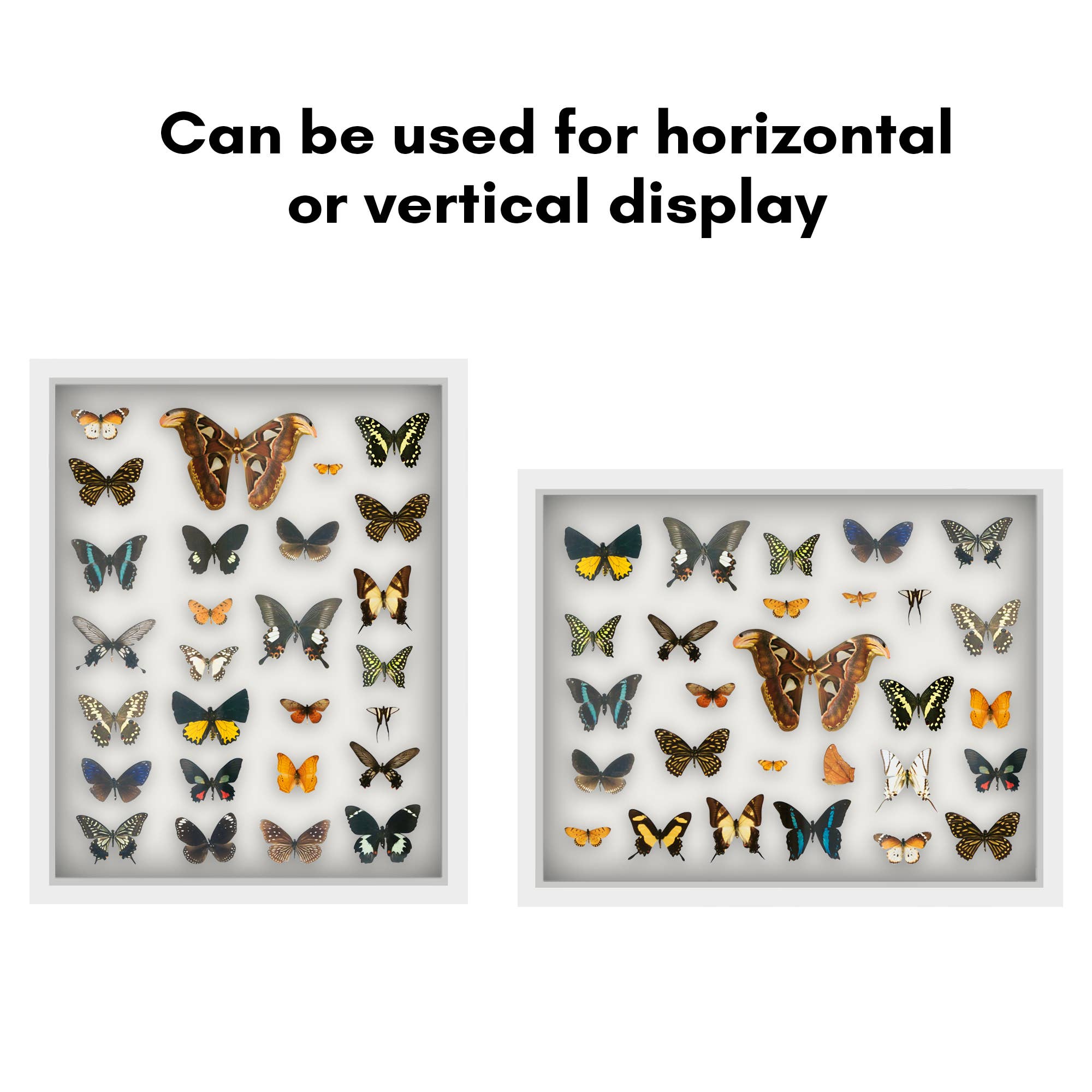 Americanflat - Wholesale Picture Frame - Americanflat Shadow Box Frame with Soft Felt Back44