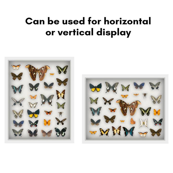 Americanflat - Wholesale Picture Frame - Americanflat Shadow Box Frame with Soft Felt Back44