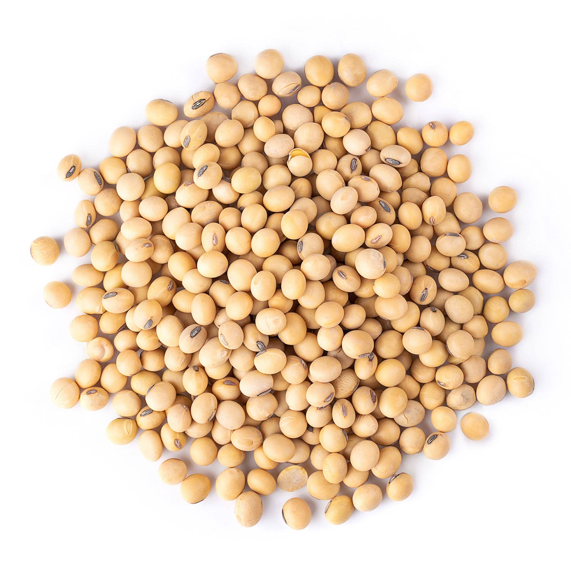 Food To Live - Wholesale Beans - Organic Soybeans – by Food to Live1