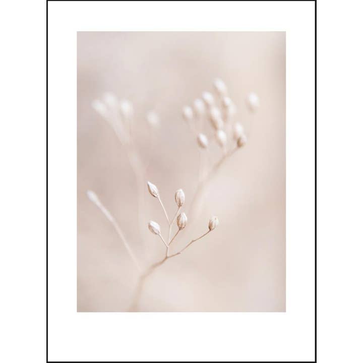 Ramo Floral Seco Polaroid por atacado de GM decoratie