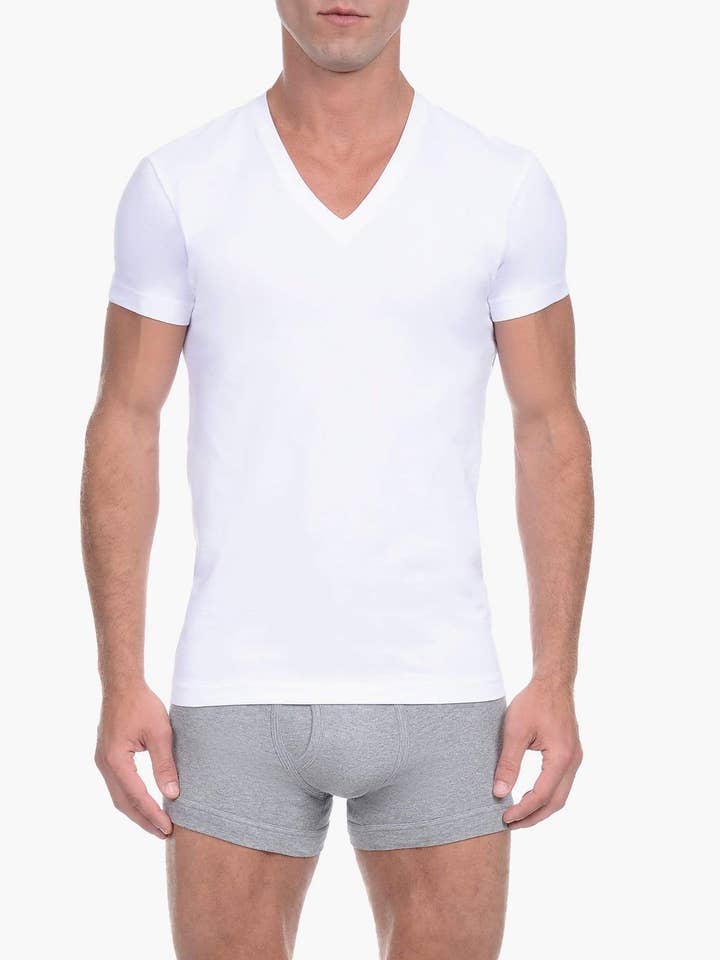 Essential bomull smal passform V-hals 3-Pack för wholesale av 2(X)IST