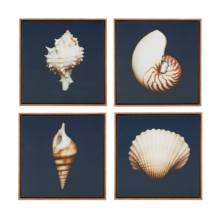 Olliix - Wholesale Gallery Wall Set - Coastal Seashells 4-Piece Framed Canvas Wall Art6