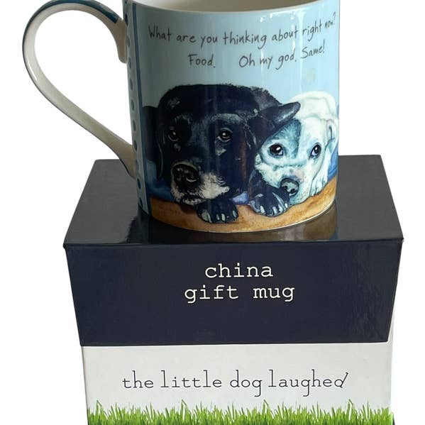 Dogs Trust Rescue Dogs China Mug for wholesale by The Little Dog Laughed