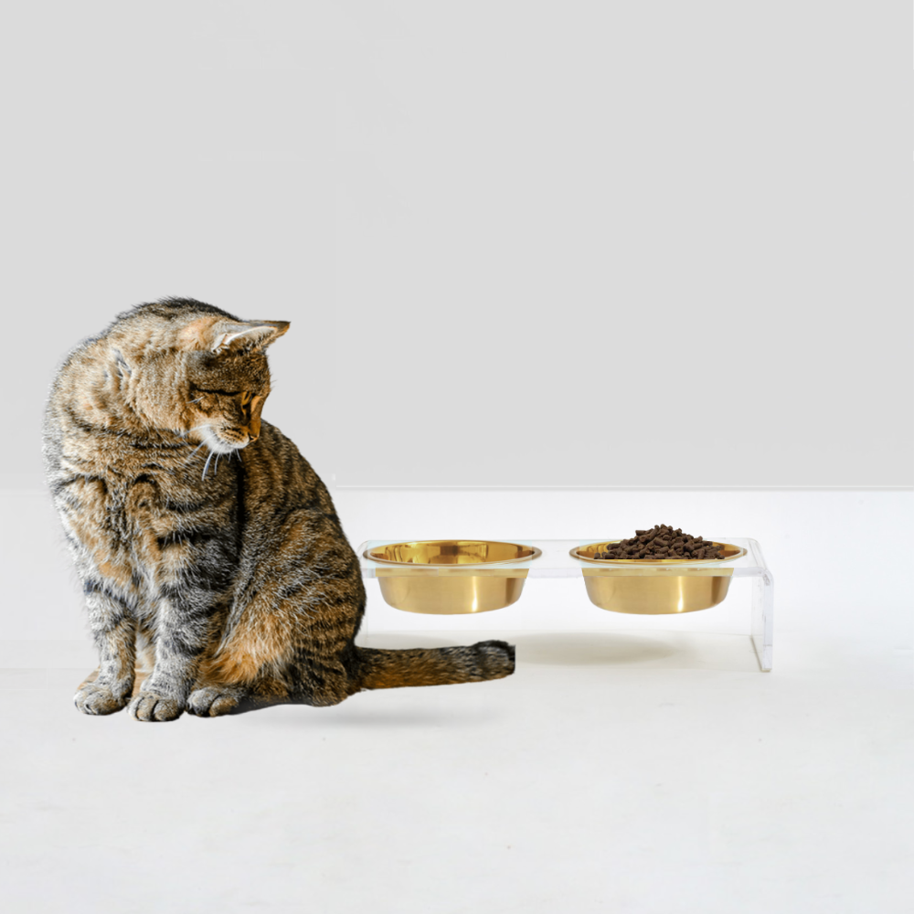 Hiddin - Wholesale Pet Bowl - Cat/Dog - Small Gold Feeder2