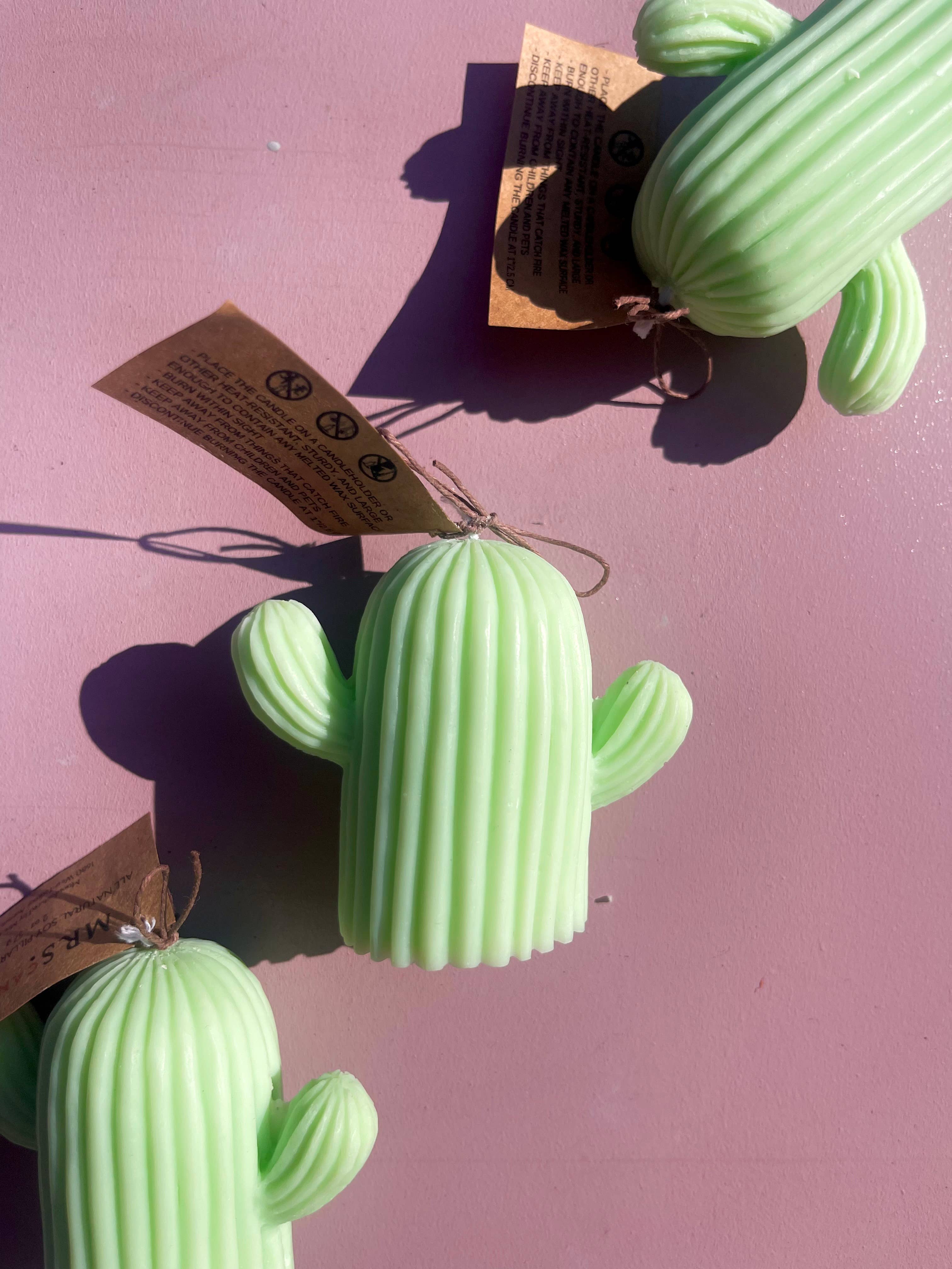 Mrs. Candlier - Wholesale Novelty Candle - All Natural Soy Pillar Wax Cactus Decorative Candle5