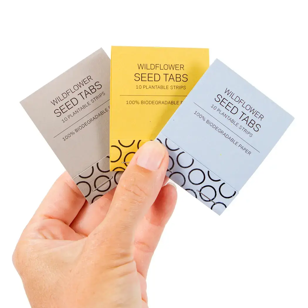 Studio 82° - Wholesale Plant Seeds - Wildflower Seed Tab Booklet - Mustard Yellow2