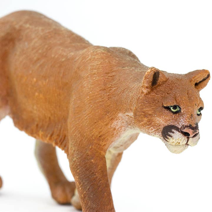 Safari Ltd. - Wholesale Figurine Toy - Kids - Mountain Lion - 291829