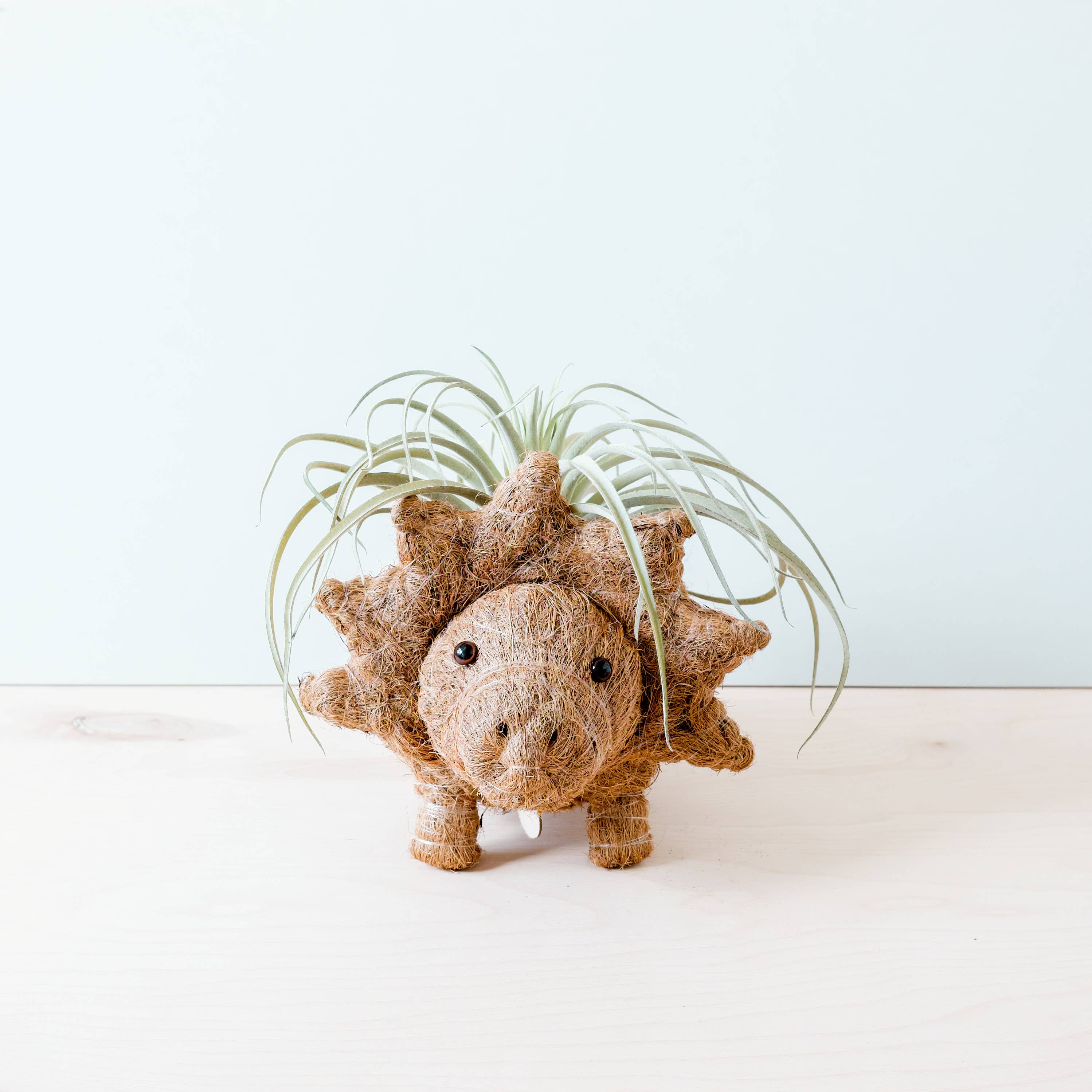 LIKHÂ - Wholesale Plant Pot - Animal Planter - Triceratops | LIKHA6