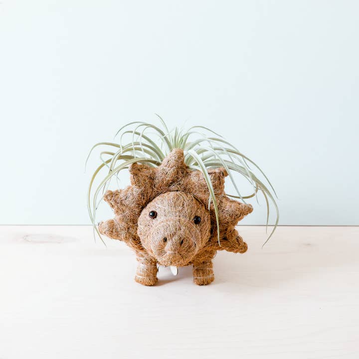 LIKHÂ - Wholesale Plant Pot - Animal Planter - Triceratops | LIKHA6
