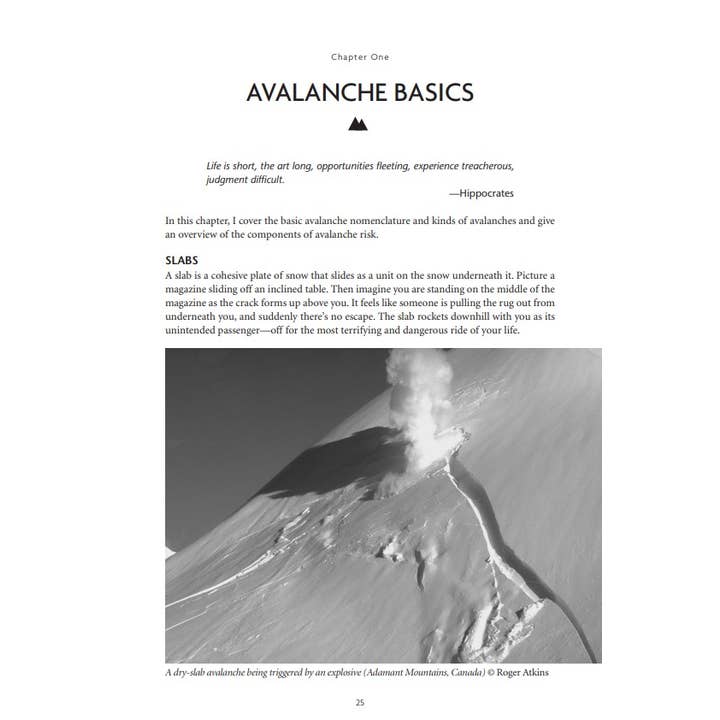 Mountaineers Books - Wholesale Nature & Outdoors - Staying Alive in Avalanche Terrain, 3rd Edition2