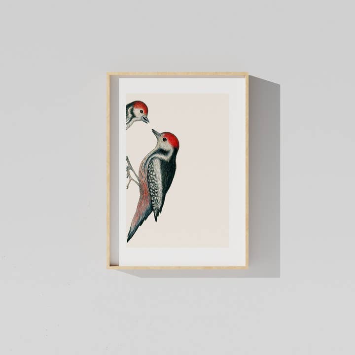 Impression d'art KNOCK KNOCK, QUI EST LÀ pour la vente par Studio Binck