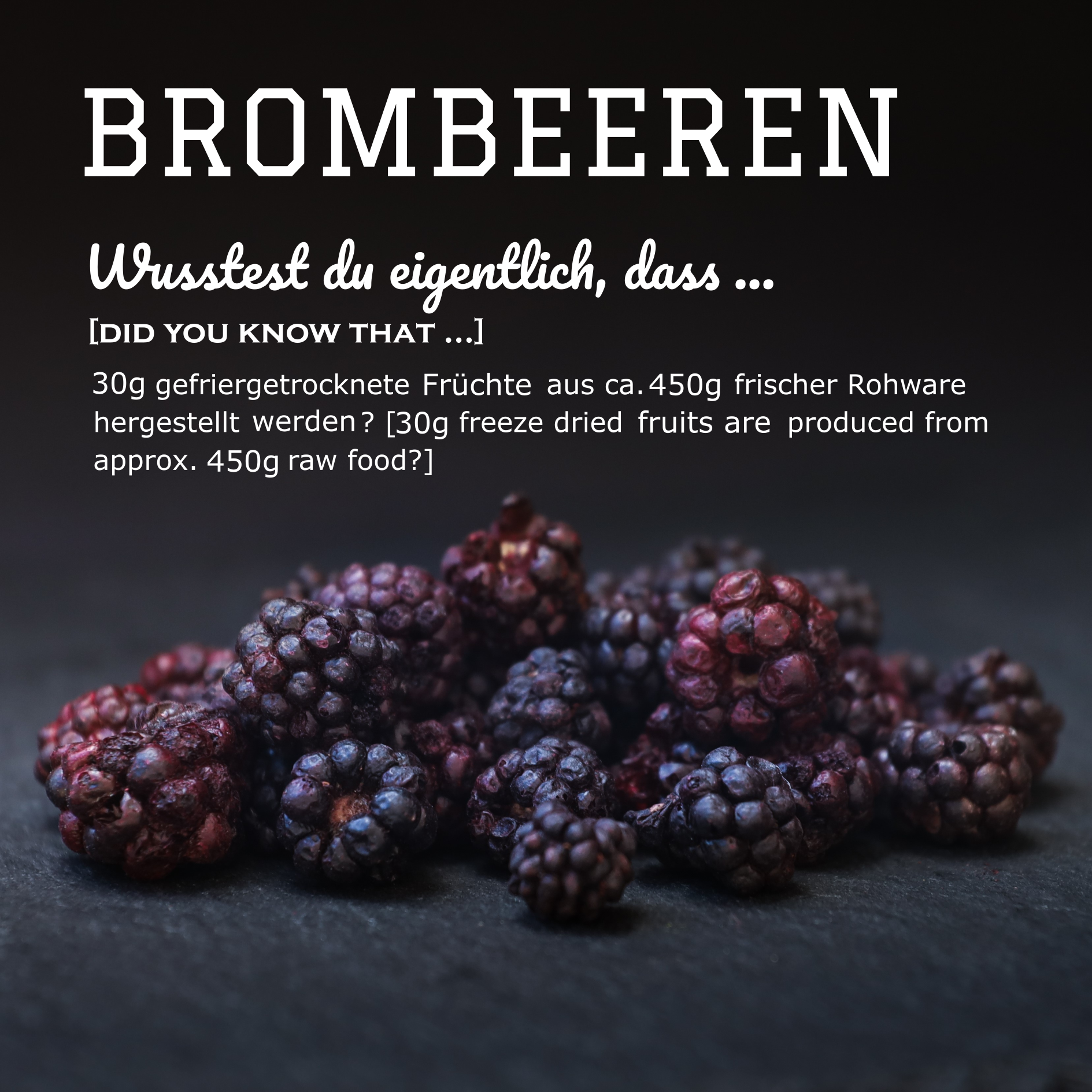 PAMICO – wholesale Godis - Hund – Frystorkade björnbärsgodis för hundar och katter – Vitaminrikt och naturligt mellanmål1