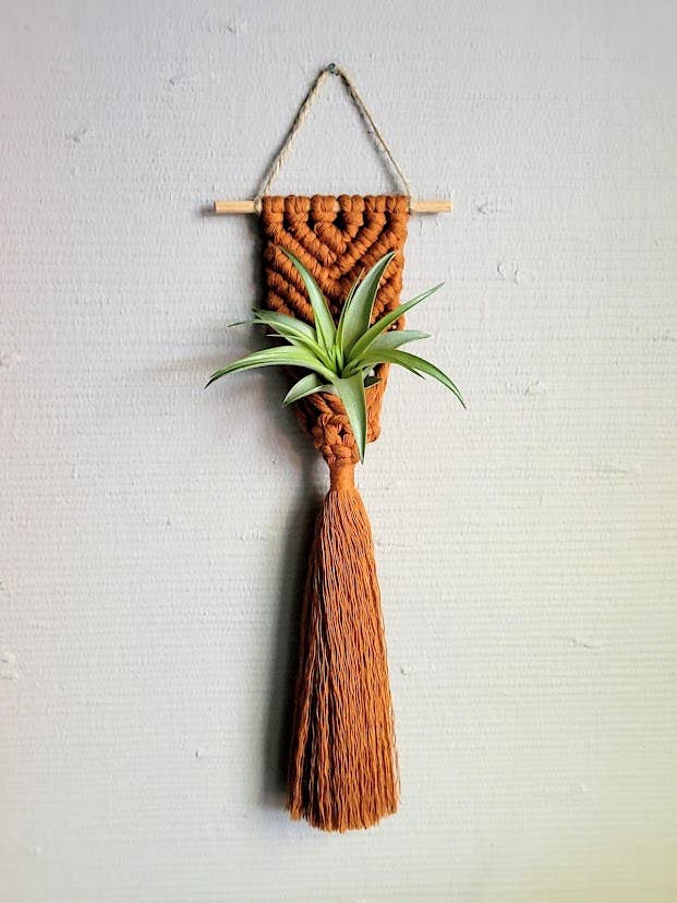 Air Plant Hanger - Brushed Mermaid Tail - Camel for wholesale by Mother of Pearl Handmade Goods
