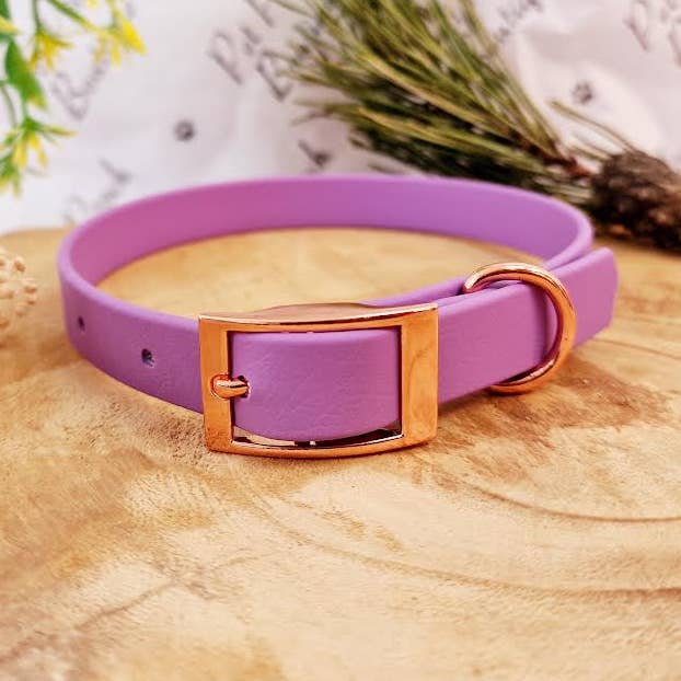 Coleira para Cão em Biothane Roxo Ametista - Acessórios Metálicos - Feito à Mão por atacado de Pet Pooch Boutique