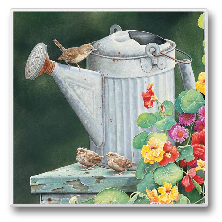 CounterArt/Highland Home/Thirstystone/CoasterStone - Wholesale Retailer display – Home & Living - Take Flight Pre-Packed Single Coaster Display5