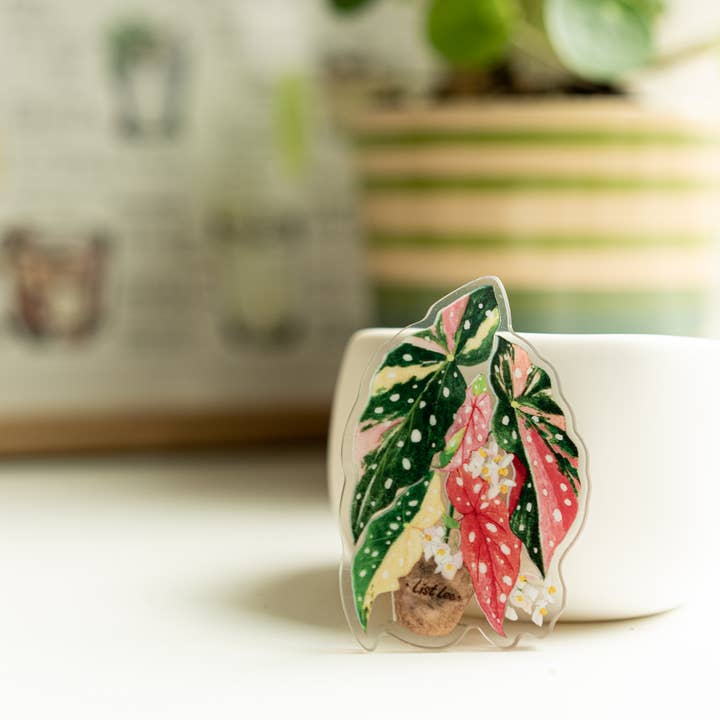 ZOETSTUDIO - Wholesale Magnet - Double-sided Tropical Plant Magnets