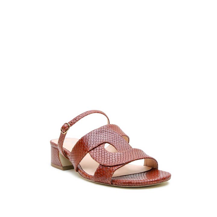 Alterre - Vendita all'ingrosso Sandali - Donna - Sandalo Loop Serpente Marrone + Cinturino Twiggy