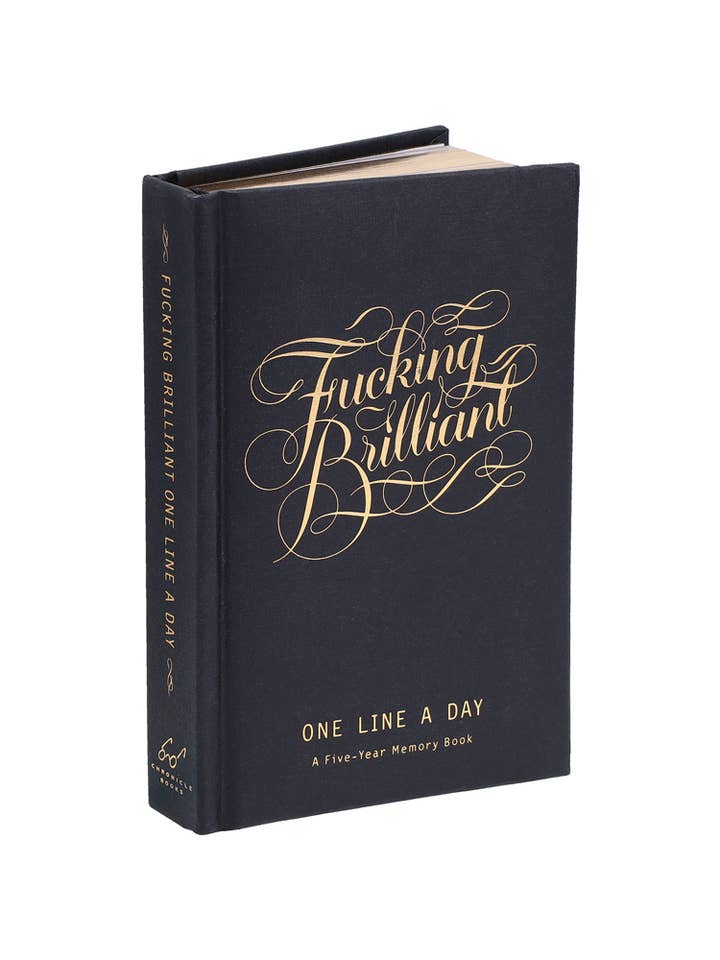 Fucking Brilliant One Line a Day for wholesale by Chronicle Books