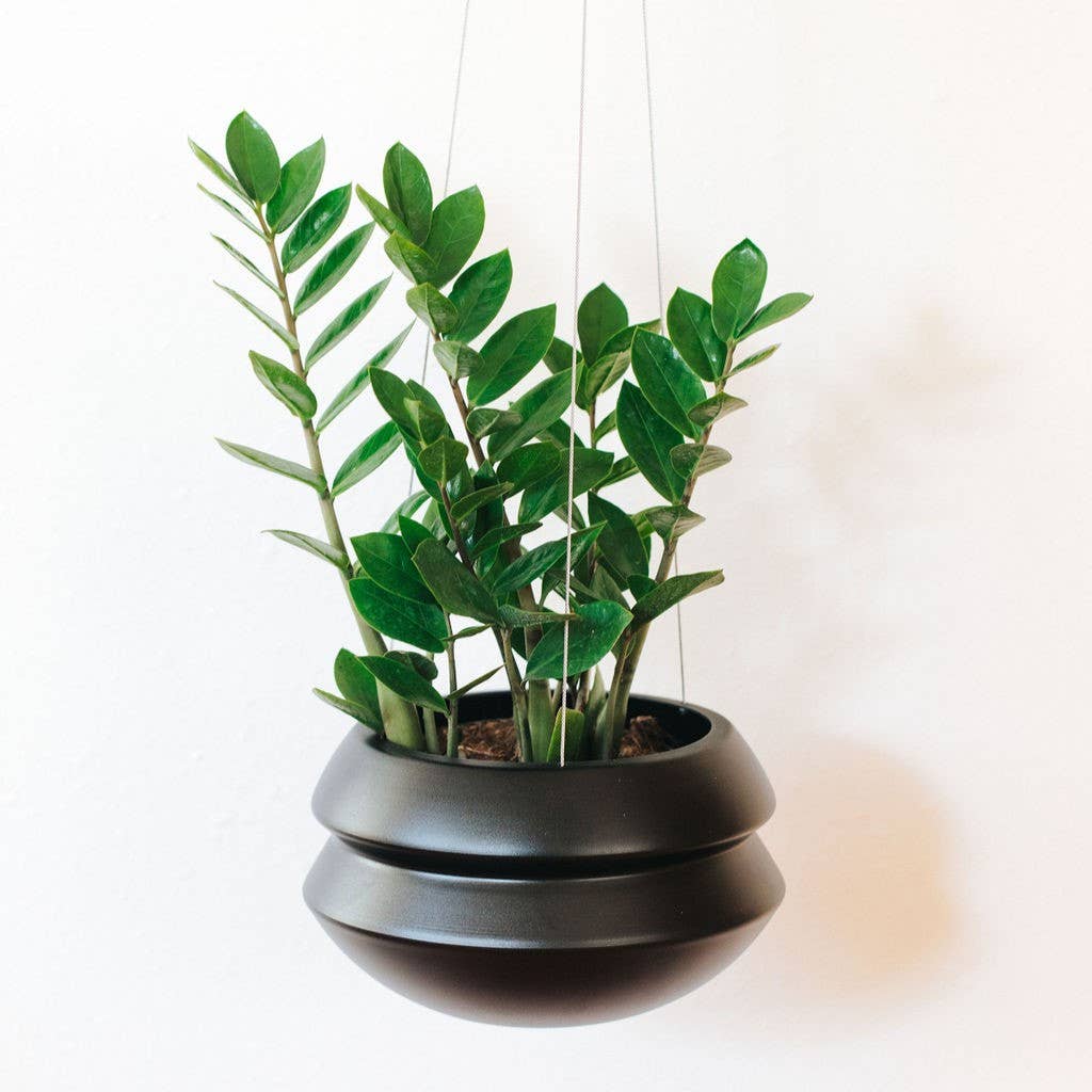 Carter & Rose - Wholesale Hanging Planter - Hanging Planter4