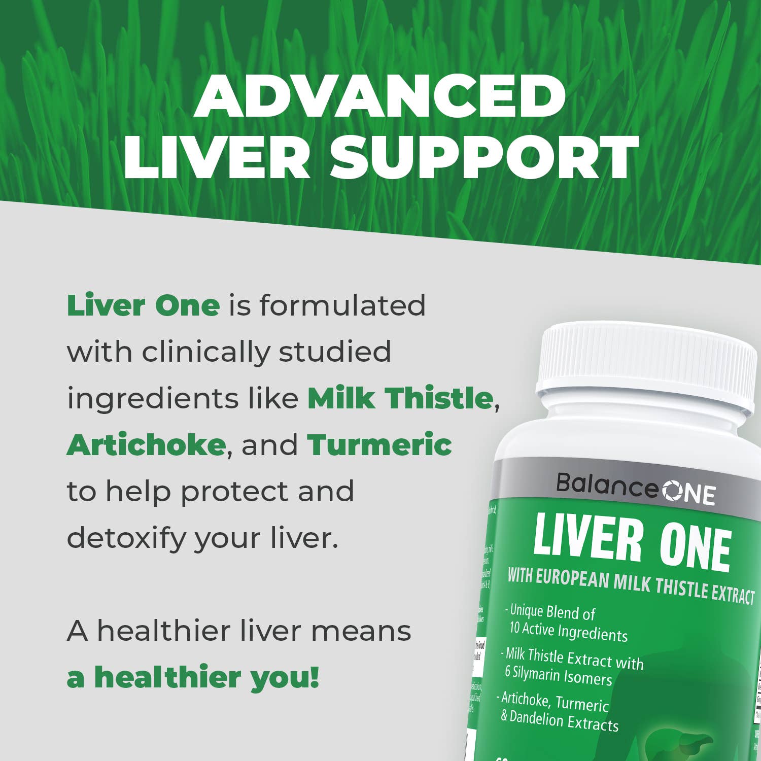 Balance One Supplements - Wholesale Oral Supplement/Vitamin - Liver One – Comprehensive Liver Support with Milk Thistle3