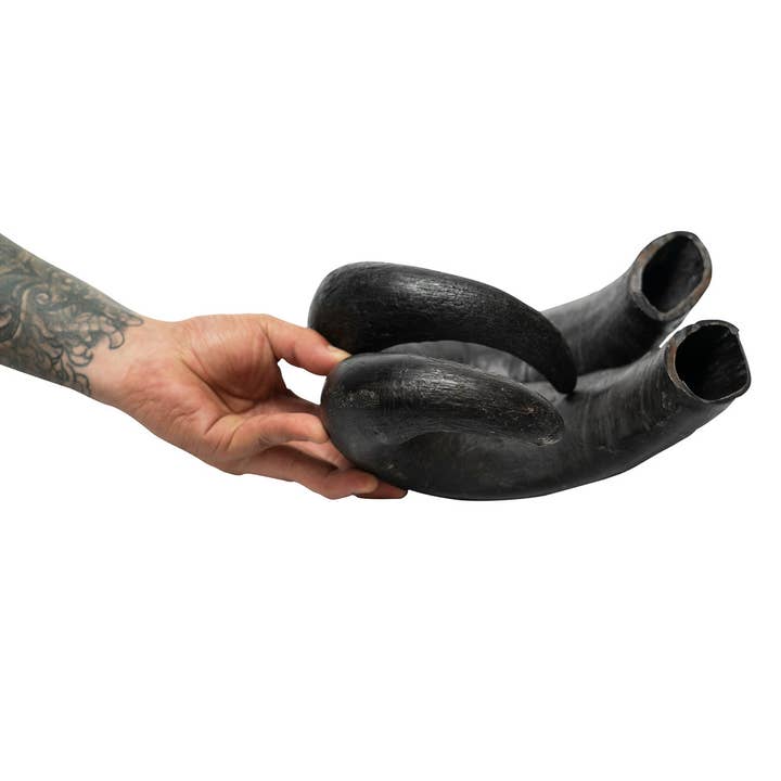 WATER BUFFALO HORN- 100% Natural, Dental Dog Chews & Treats for wholesale by Rozie's Naturals