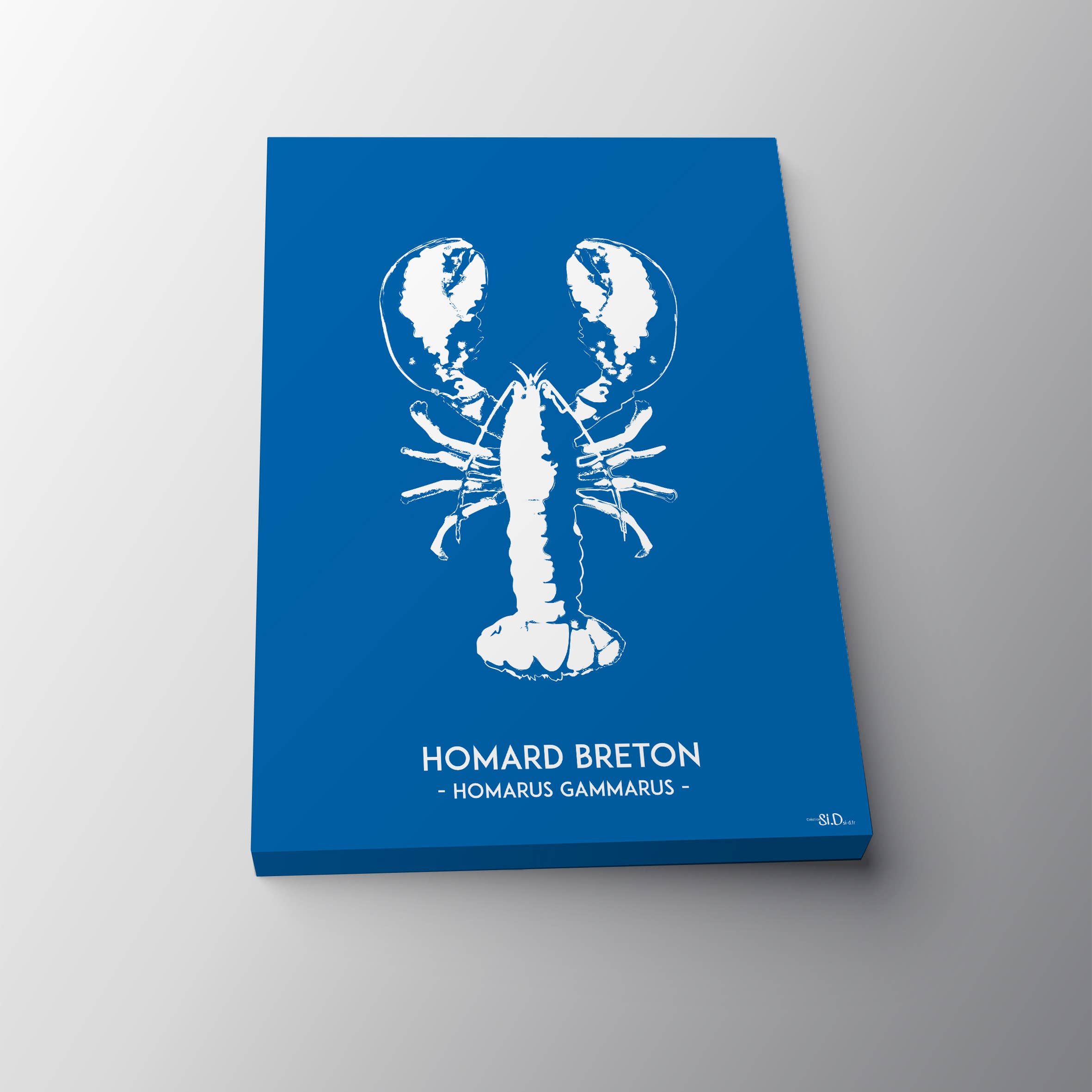 Si.D - Wholesale Poster - Breton lobster1