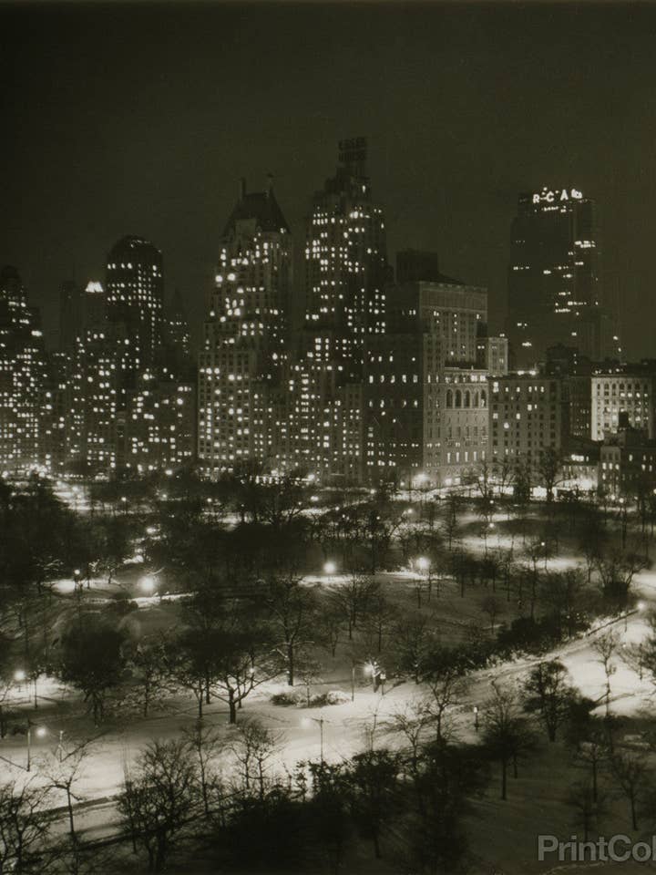 Winter Central Park for wholesale by Print Collection