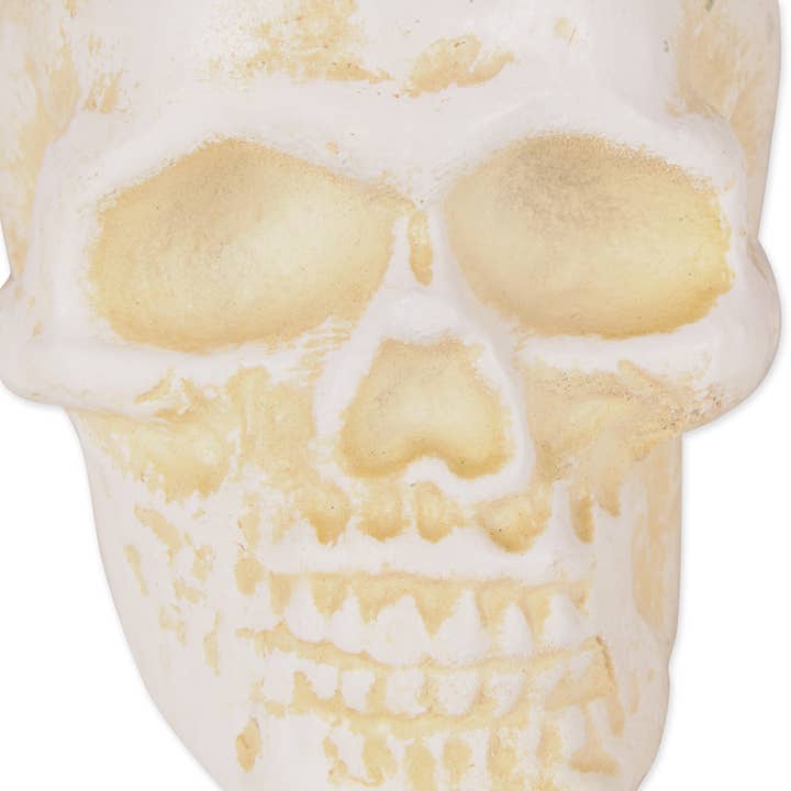 Zingz Home - Wholesale Paper Weight - Human Skull Cast Iron Paperweight