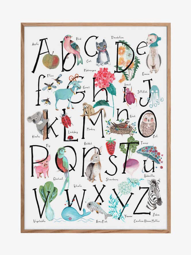 ABC-Illustration für den Großhandel von Pictufy Wholesale